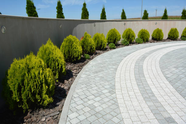 Best Residential Driveway Paver Services  in Hlside, IL